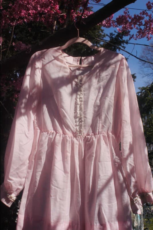 Pale pink chiffon dress on a wooden hanger among cherry blossoms